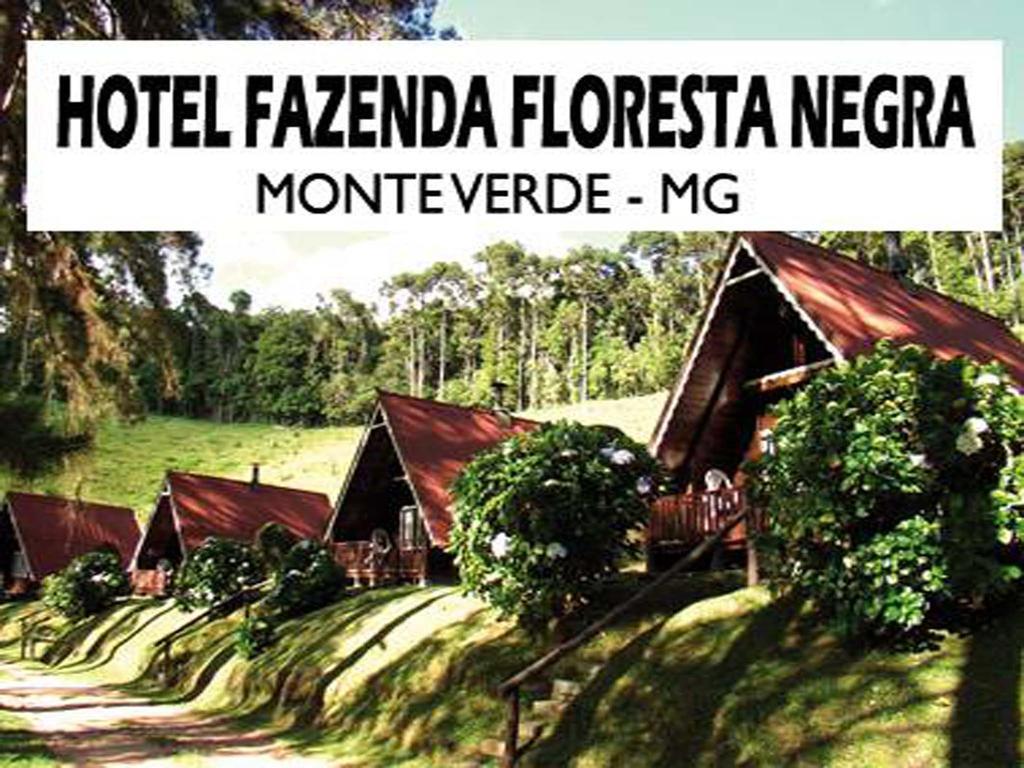 Hotel Fazenda Floresta Negra Monte Verde  Ngoại thất bức ảnh