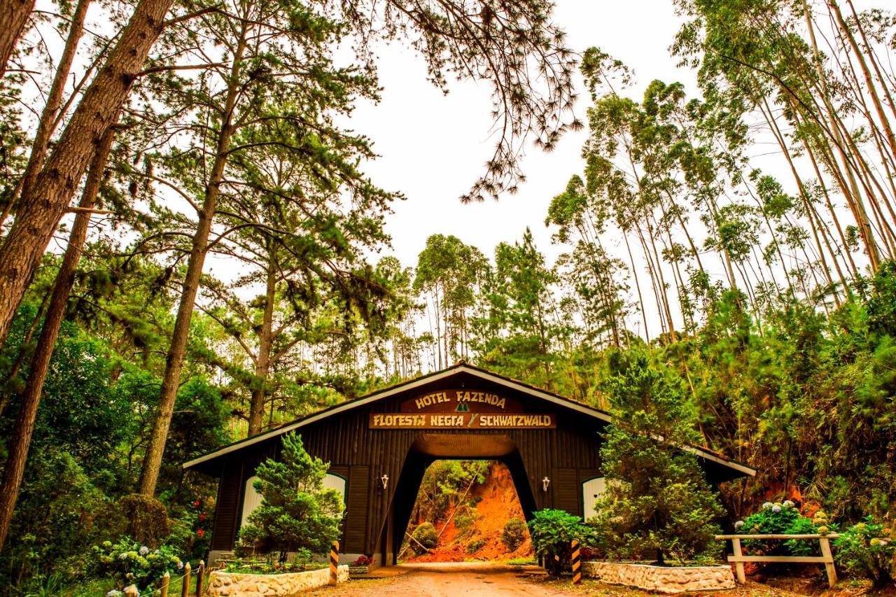 Hotel Fazenda Floresta Negra Monte Verde  Ngoại thất bức ảnh