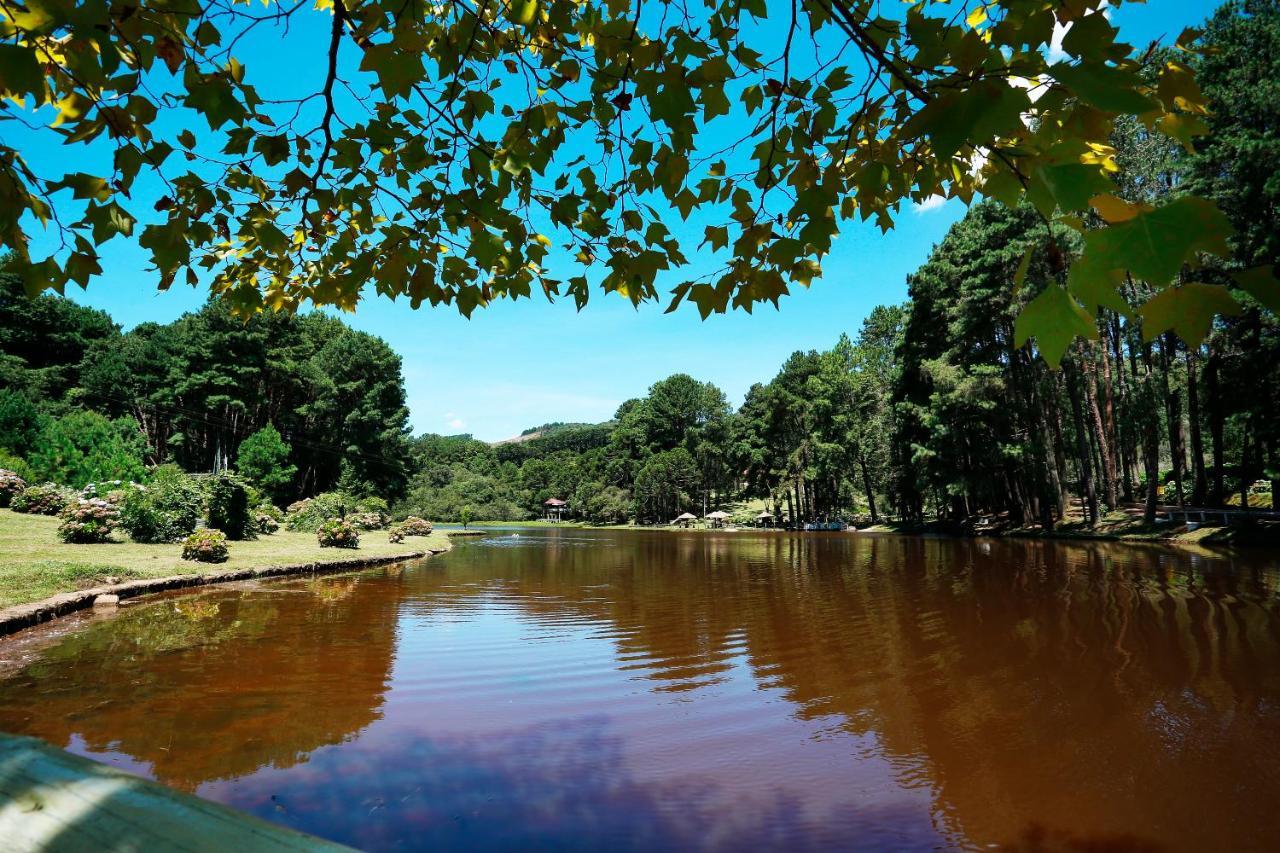 Hotel Fazenda Floresta Negra Monte Verde  Ngoại thất bức ảnh