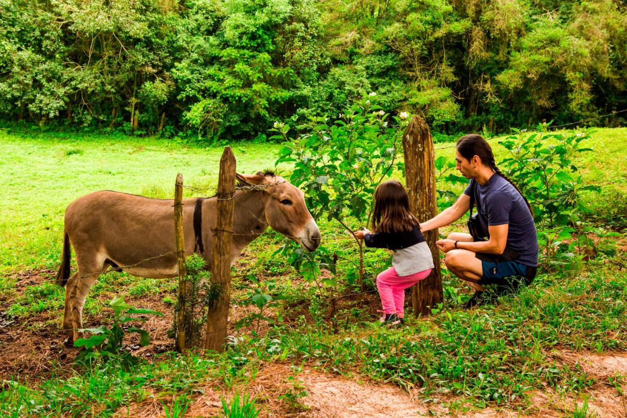 Hotel Fazenda Floresta Negra Monte Verde  Ngoại thất bức ảnh
