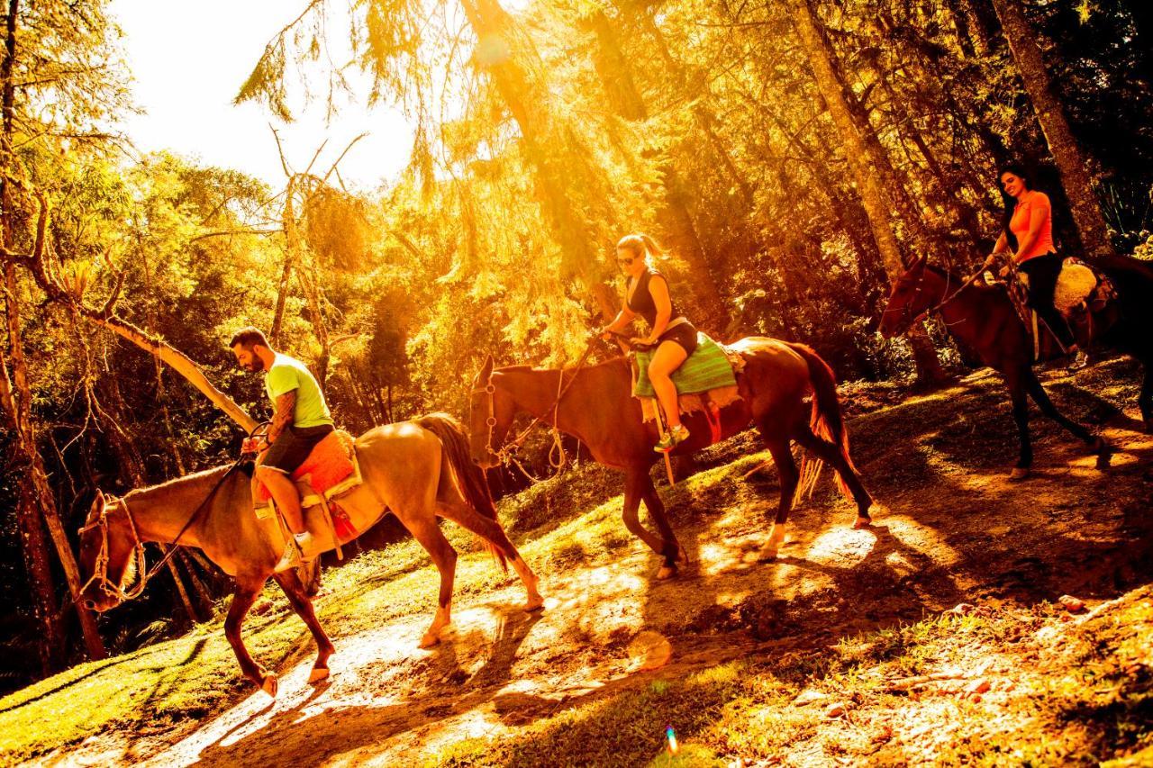 Hotel Fazenda Floresta Negra Monte Verde  Ngoại thất bức ảnh