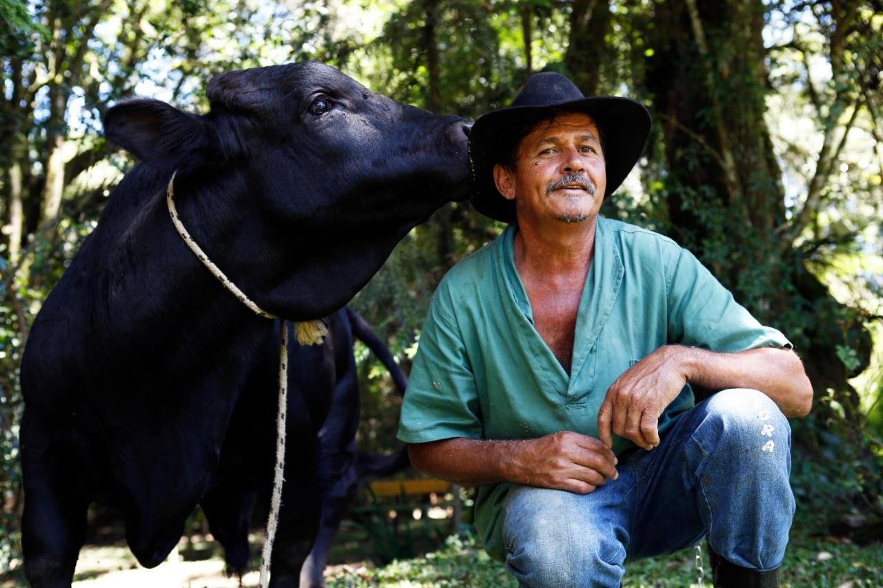 Hotel Fazenda Floresta Negra Monte Verde  Ngoại thất bức ảnh