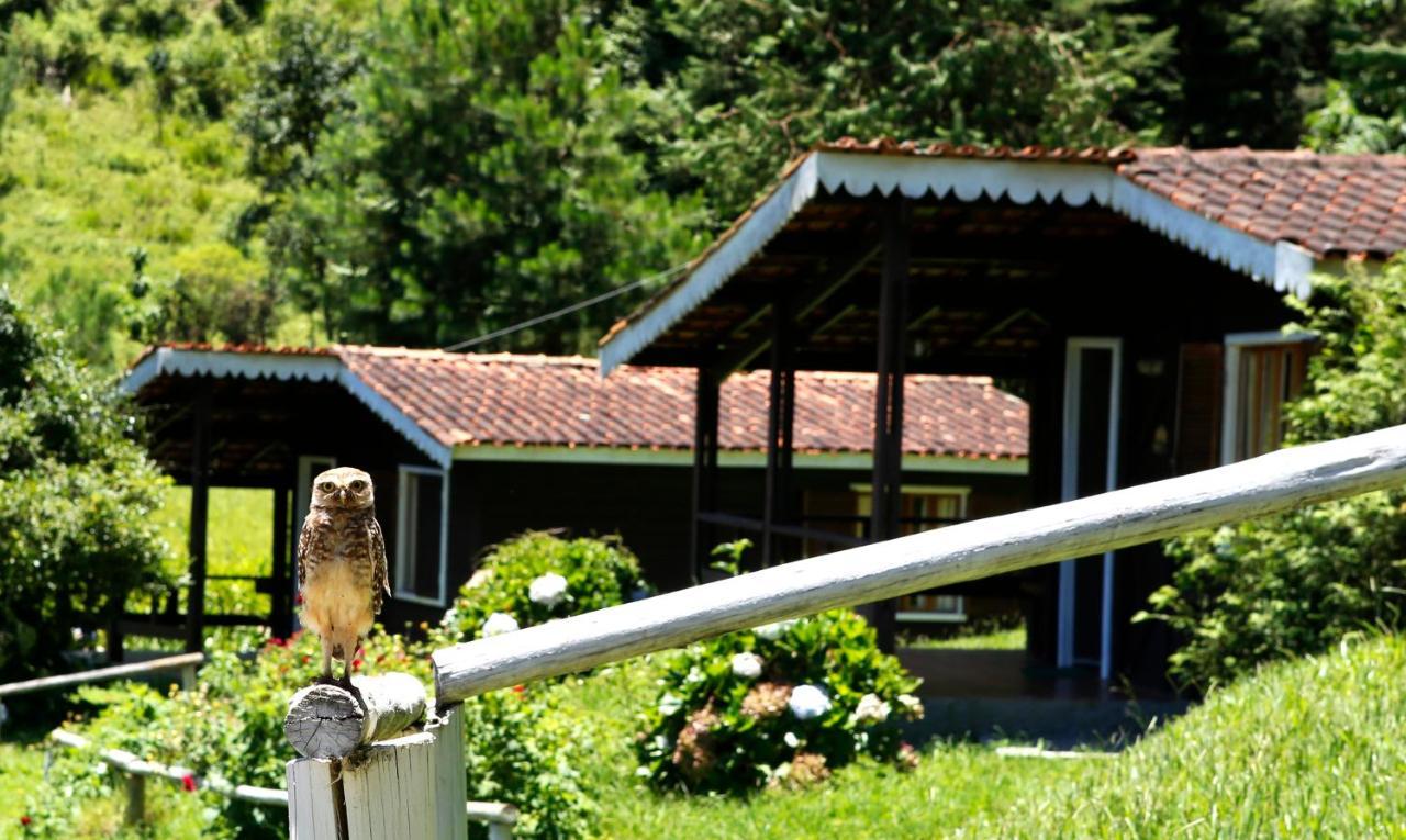 Hotel Fazenda Floresta Negra Monte Verde  Ngoại thất bức ảnh