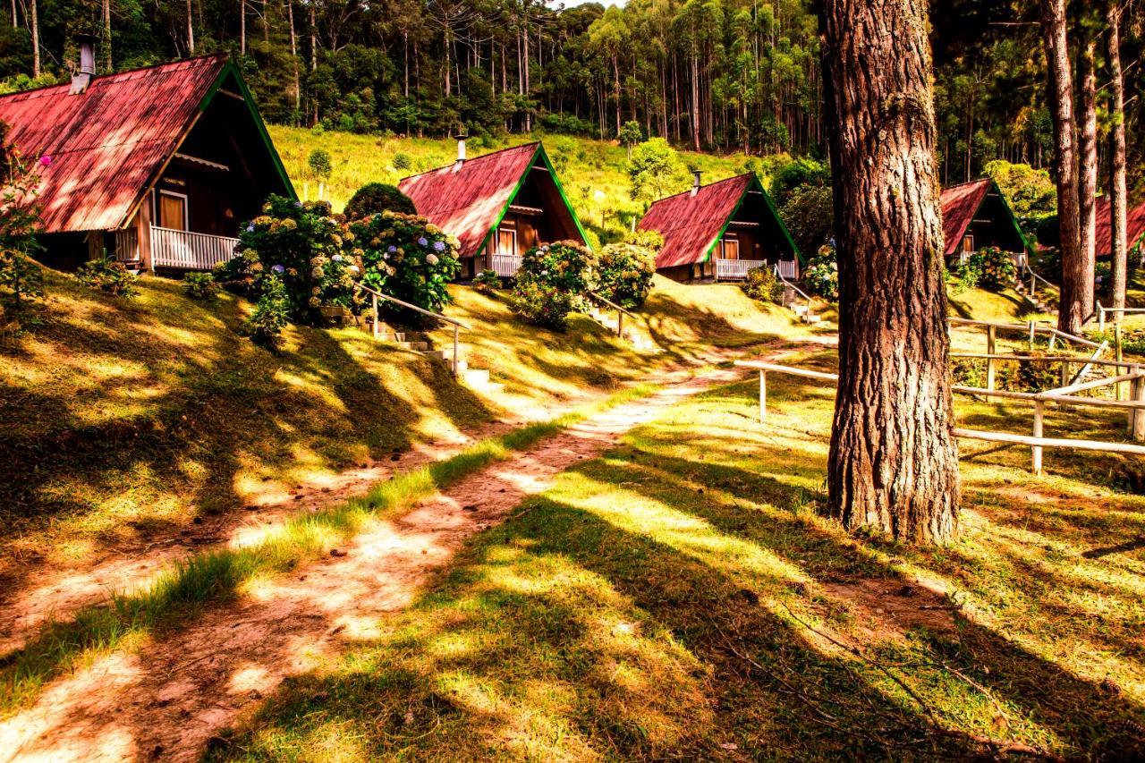 Hotel Fazenda Floresta Negra Monte Verde  Ngoại thất bức ảnh