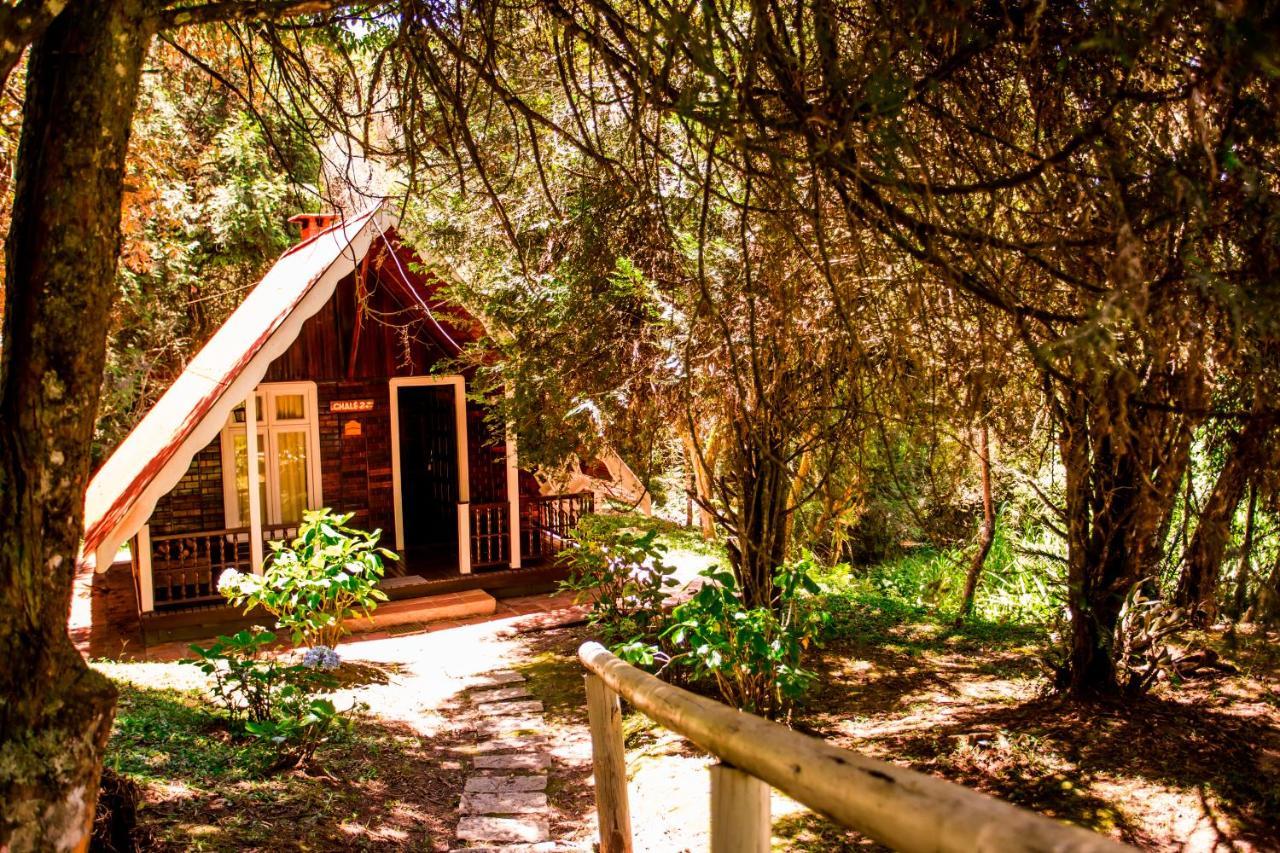 Hotel Fazenda Floresta Negra Monte Verde  Ngoại thất bức ảnh